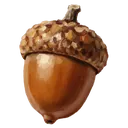 acorn