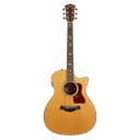 acoustic guitar