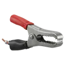 alligator clip