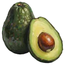 avocado