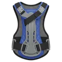 back brace