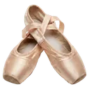 ballet shoes