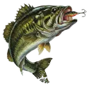 bass jumping Oil Painting icon