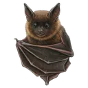 bat