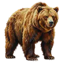 bear