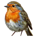 bird Oil Painting icon