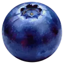 blueberry