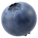 blueberry