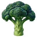 broccoli