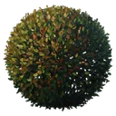 bush Oil Painting icon