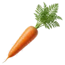 carrot