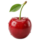 cherry Photorealistic icon
