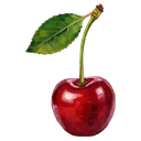 cherry