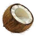 coconut