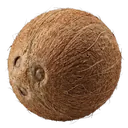 coconut Photorealistic icon