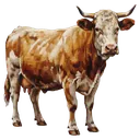 cow Oil Painting icon