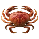 crab Photorealistic icon