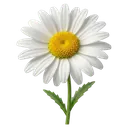 daisy Photorealistic icon