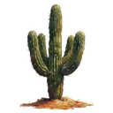 desert cactus sand Oil Painting icon