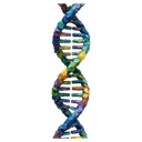 dna Oil Painting icon