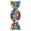 dna helix