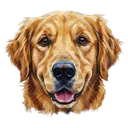 dog face Oil Painting icon