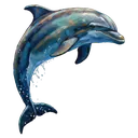 dolphin