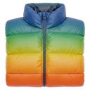 down puffer Photorealistic icon