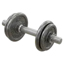 dumbbell Photorealistic icon