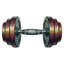 dumbbell Oil Painting icon
