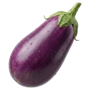 eggplant Photorealistic icon