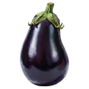eggplant Oil Painting icon