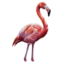 flamingo Oil Painting icon