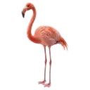 flamingo Photorealistic icon
