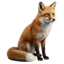 fox Photorealistic icon