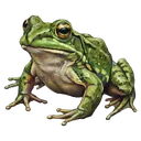 frog Oil Painting icon