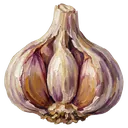 garlic Oil Painting icon