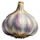 garlic bulb Oil Painting icon