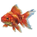 goldfish Oil Painting icon