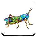 grasshopper Pop Art icon