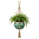 hanging planter Product Shot icon