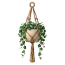 hanging planter Oil Painting icon