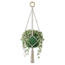 hanging planter Photorealistic icon