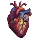 heart Oil Painting icon