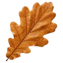 leaf Photorealistic icon
