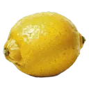 lemon Oil Painting icon