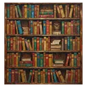 library bookshelf Oil Painting icon