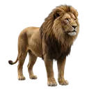 lion Photorealistic icon