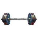 loaded barbell Oil Painting icon