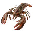 lobster Photorealistic icon